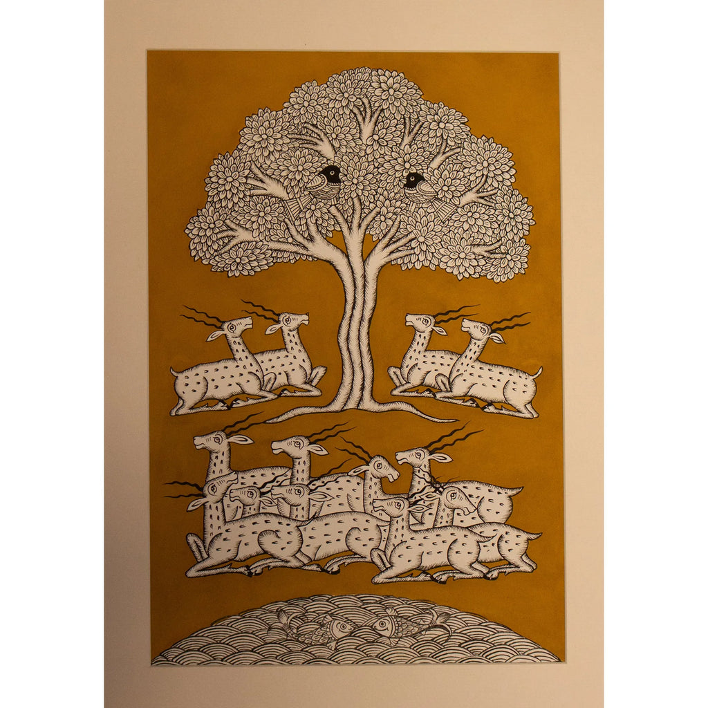 Phad - Group of Deer