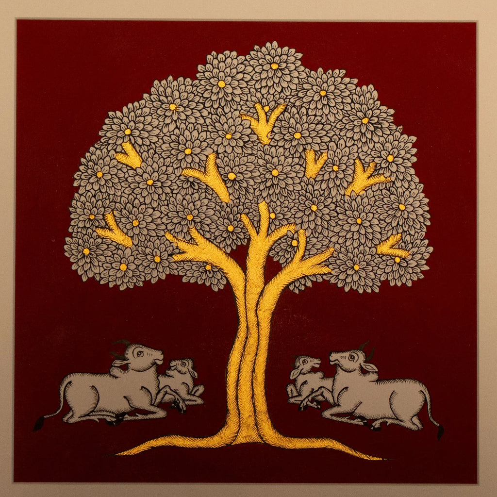 Phad - Group of Cow