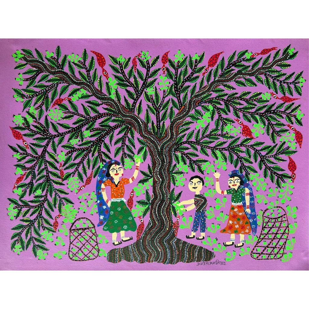 Bhil - Mahua Tree- Fruit plucking