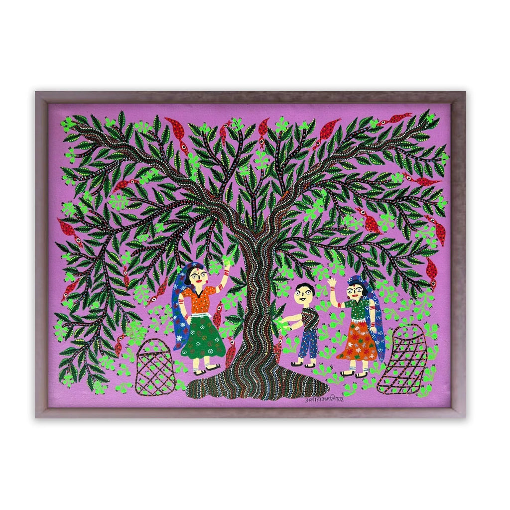 Bhil - Mahua Tree- Fruit plucking