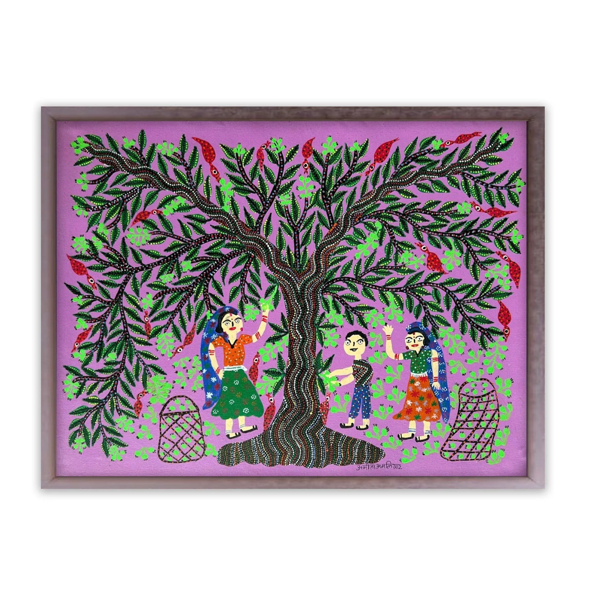 Bhil - Mahua Tree- Fruit plucking