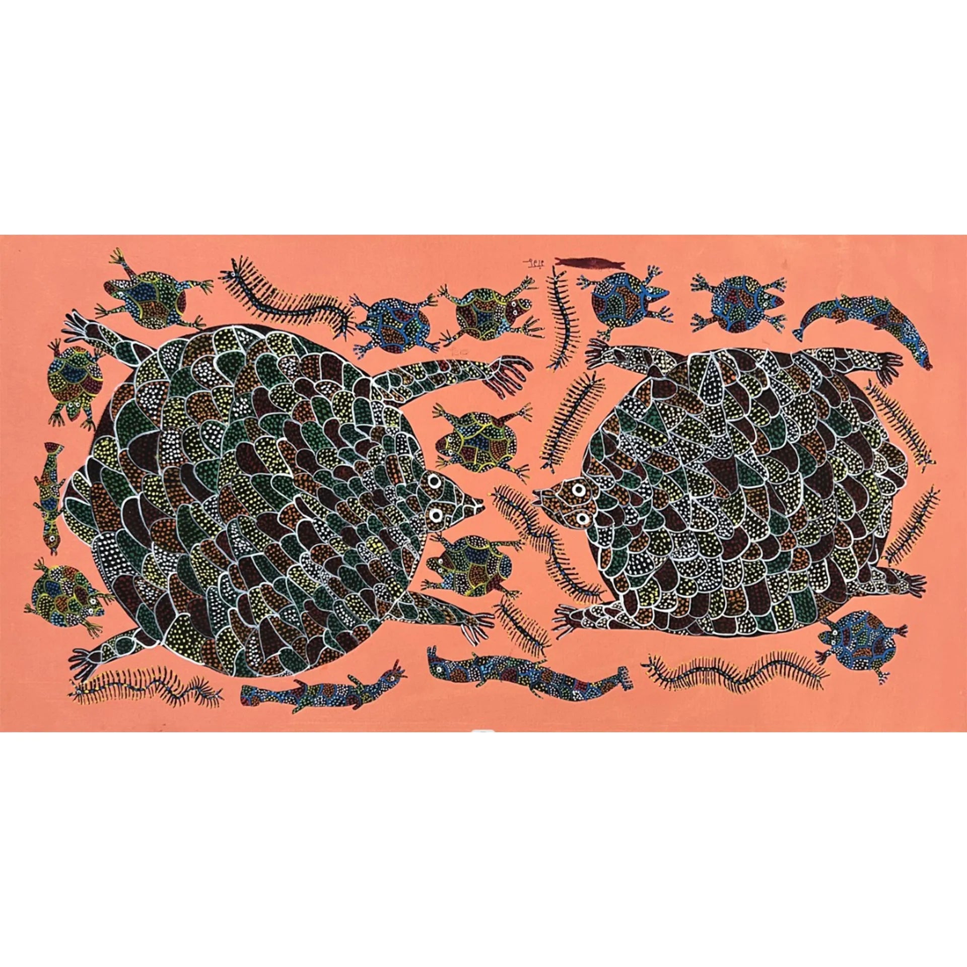 Bhil - Marine life-Tortoise, snakes, fish